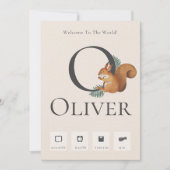 Aankondiging van Cute Chipmunk Baby Birth Stats (Voorkant)