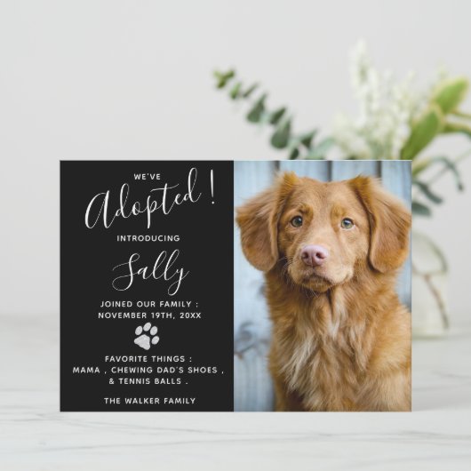 Aankondiging van de adoptie van huisdieren - Elega (Staand voorkant)