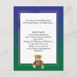 Aankondiging van de Baby Green and Blue Teddy Bear