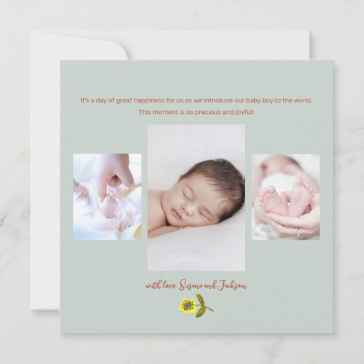 Aankondiging van de geboorte groene kauwboten (Achterkant)