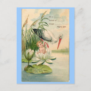  aankondiging van de geboorte-Stork, Lily Pad, Bab