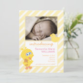 Aankondiging van de geboorte van Big Bird (Staand voorkant)