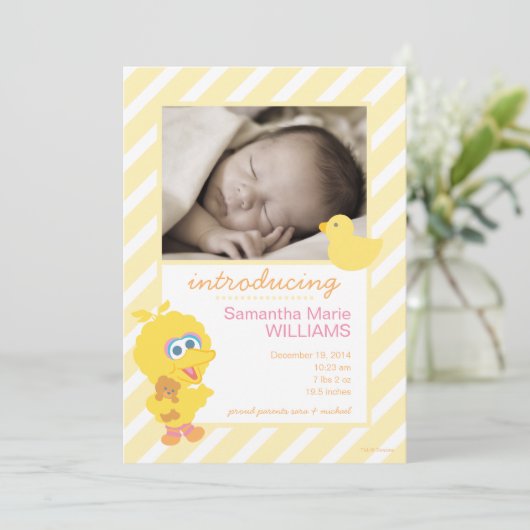 Aankondiging van de geboorte van de grote vogel (Staand voorkant)