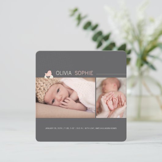 Aankondiging van de geboorte van de haattige Baby  (Staand voorkant)