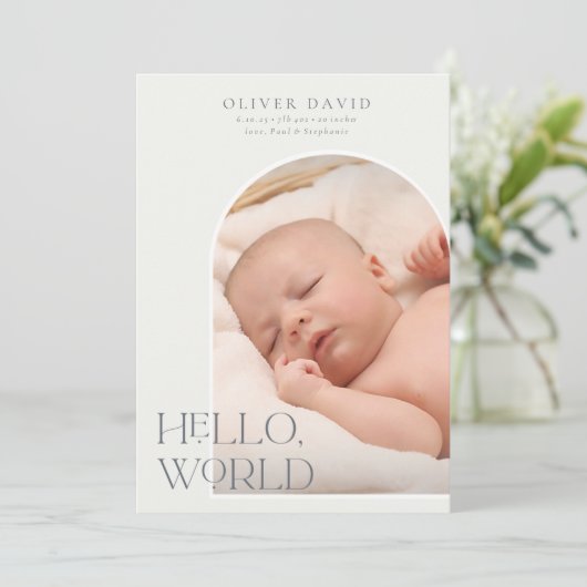 Aankondiging van de geboorte van de pastblauw Vert (Staand voorkant)