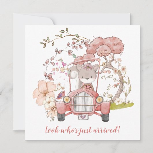 Aankondiging van de geboorte van de teruil van de (Voorkant)