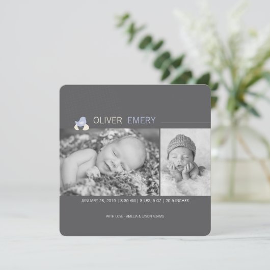 Aankondiging van de geboorte van een gebroken eier (Staand voorkant)