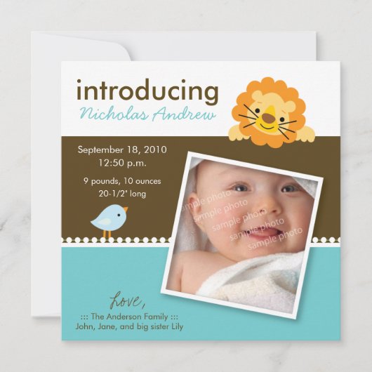 Aankondiging van de geboorte van Lion & Birdie Des (Voorkant)