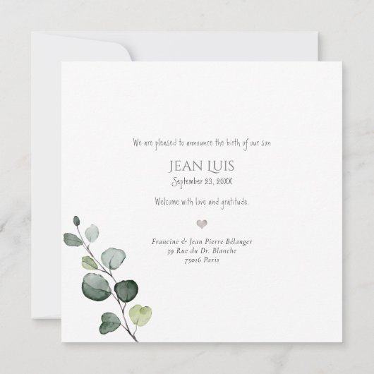 Aankondiging van de geboorte van PixDezines Eucaly (Achterkant)