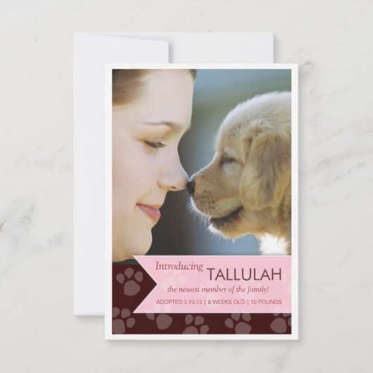 Aankondiging van de nieuwe foto van Pet Brown Pink (Voorkant)