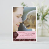 Aankondiging van de nieuwe foto van Pet Brown Pink (Staand voorkant)