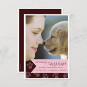 Aankondiging van de nieuwe foto van Pet Brown Pink (Voorkant / Achterkant)