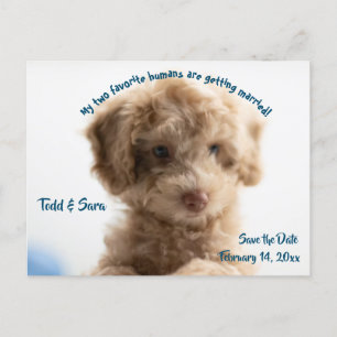 Aankondiging van een schattige hond en zijn mensje briefkaart