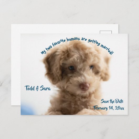 Aankondiging van een schattige hond en zijn mensje briefkaart (Voorkant / Achterkant)