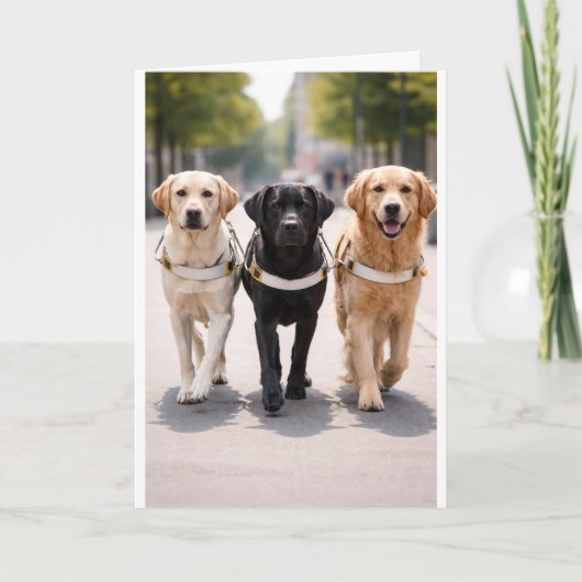 Aankondiging van een team met een geleidehond Voor (Voorkant)