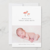Aankondiging van Flamingo Birth (Voorkant)