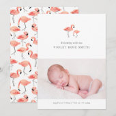 Aankondiging van Flamingo Birth (Voorkant / Achterkant)