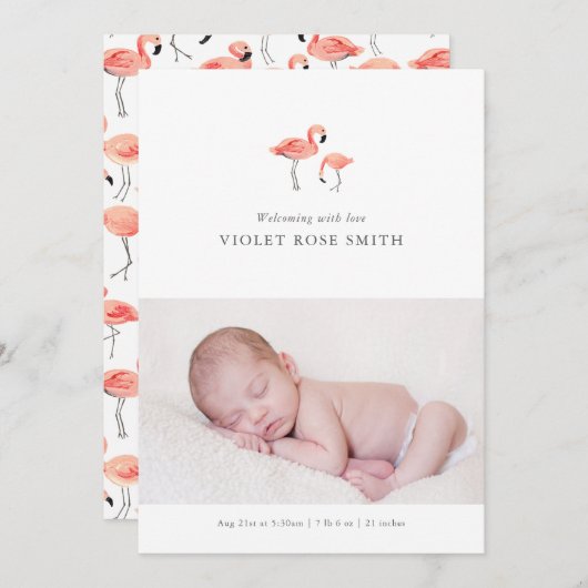 Aankondiging van Flamingo Birth (Voorkant / Achterkant)