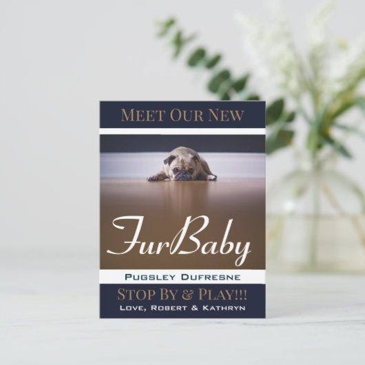 Aankondiging van Fur Baby "New Pet" Briefkaart (Staand voorkant)