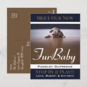Aankondiging van Fur Baby "New Pet" Briefkaart (Voorkant / Achterkant)