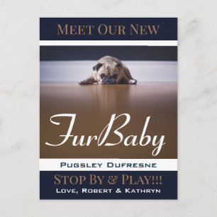 Aankondiging van Fur Baby "New Pet" Briefkaart