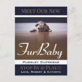 Aankondiging van Fur Baby "New Pet" Briefkaart (Voorkant)