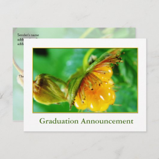 Aankondiging van het afstuderen van wilde bosbesse (Voorkant / Achterkant)