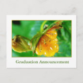 Aankondiging van het afstuderen van wilde bosbesse (Voorkant)