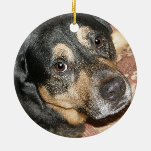 Aankondiging van honden- en papaveradoptie keramisch ornament (Achterkant)