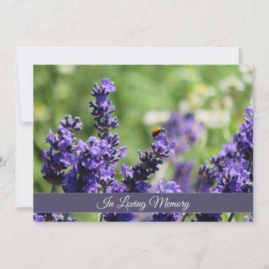 Aankondiging van Lavender & Ladybug Memorial Servi (Voorkant)