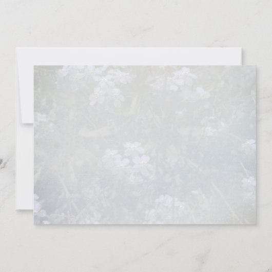 Aankondiging van mijn verhuizing met mijn kat (Achterkant)