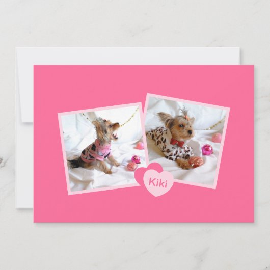 Aankondiging van nieuwe adoptie van gezelschapsdie (Voorkant)