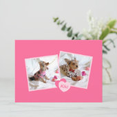 Aankondiging van nieuwe adoptie van gezelschapsdie (Staand voorkant)