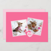 Aankondiging van nieuwe adoptie van gezelschapsdie (Voorkant / Achterkant)