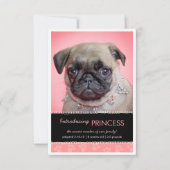 Aankondiging van nieuwe foto's met roze onderverf (Voorkant)