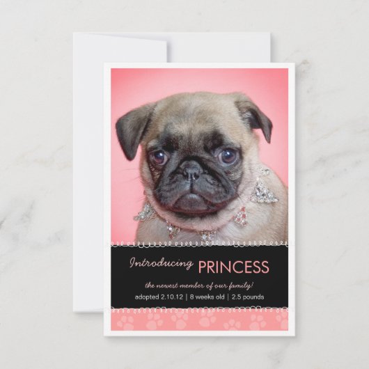 Aankondiging van nieuwe foto's met roze onderverf (Voorkant)