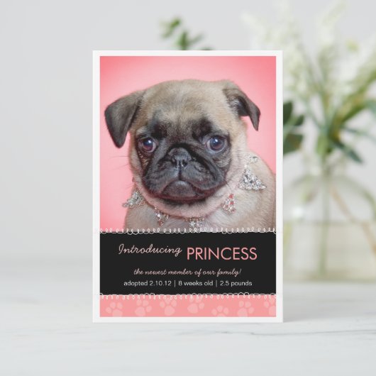 Aankondiging van nieuwe foto's met roze onderverf (Staand voorkant)