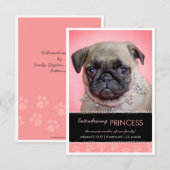 Aankondiging van nieuwe foto's met roze onderverf (Voorkant / Achterkant)