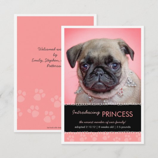 Aankondiging van nieuwe foto's met roze onderverf (Voorkant / Achterkant)