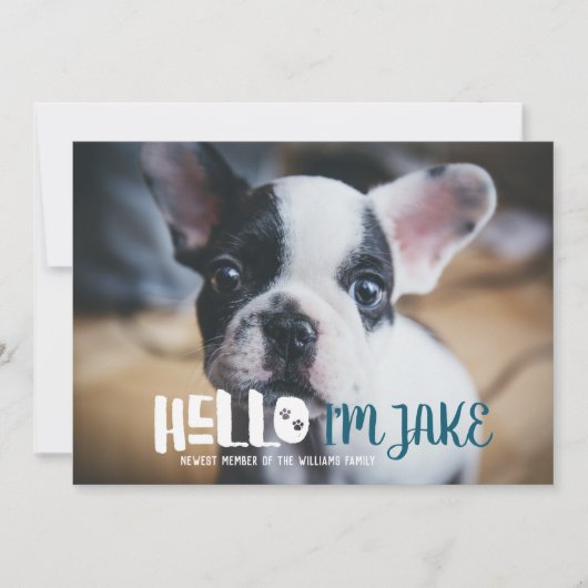 Aankondiging van nieuwe huisdieradoptie | Hallo (Voorkant)