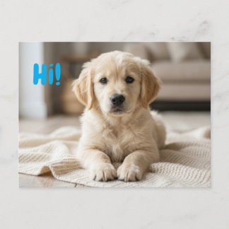 Aankondiging van onze nieuwe puppyfoto briefkaart