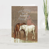 Aankondiging van paardenadoptie met twee paarden (Voorkant)