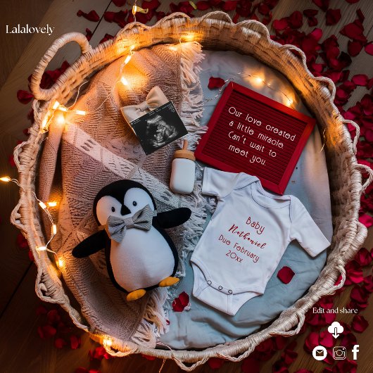 Aankondiging van pinguïnliefde tijdens zwangerscha