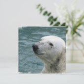 Aankondiging van poolprofiel Beer (Staand voorkant)