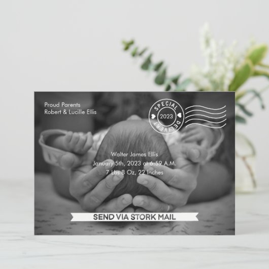 Aankondiging van Stork Mail Birth (Staand voorkant)