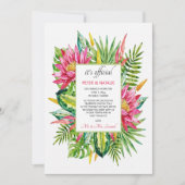 Aankondiging van Tropische Arrangement (Voorkant)