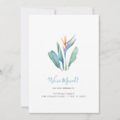 Aankondiging van tropische Waterverf-ventilatorbew (Voorkant)