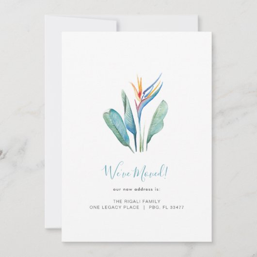 Aankondiging van tropische Waterverf-ventilatorbew (Voorkant)