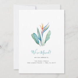 Aankondiging van tropische Waterverf-ventilatorbew