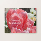 Aankondiging van zwangerschap bij grootmoeders puz legpuzzel (Horizontaal)